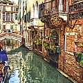 Venice Canal Serenity